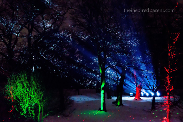 Loved, loved, loved seeing the lights shining through the trees.
