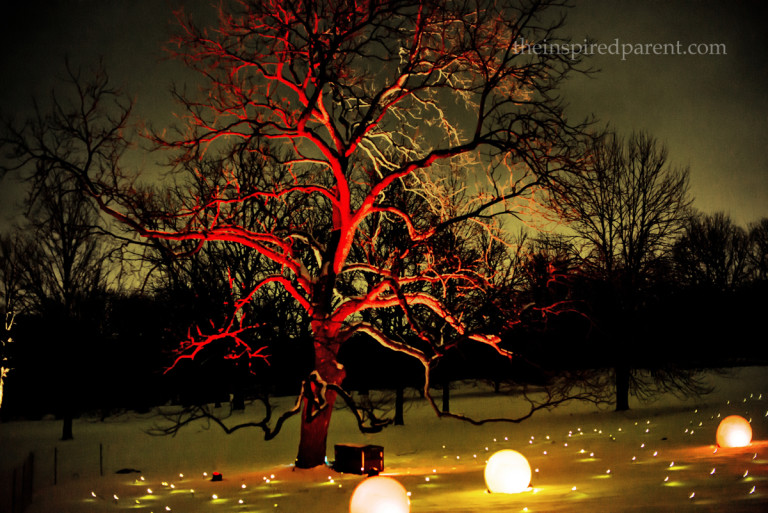 Loved the lights on this one. The sky was back-lit from the tollway in the distance. Sort of a haunted fall-meets-winter look.