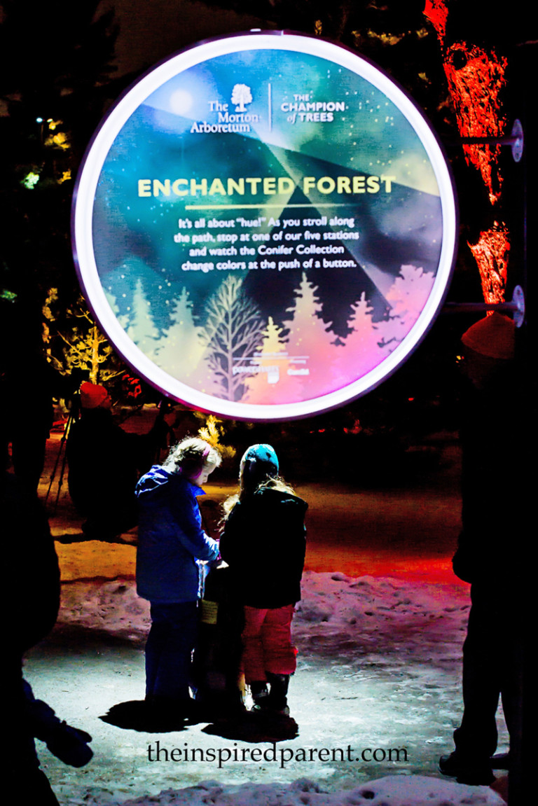 There are lots of fun, interactive displays as well - you can "conduct" the light orchestra, hug a tree to make it change colors, sing to the trees to make the lights move to the rhythm of your voice…lots of fun stuff!