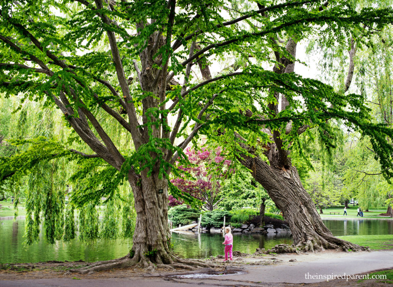 Boston's Public Garden | theinspiredparent.com