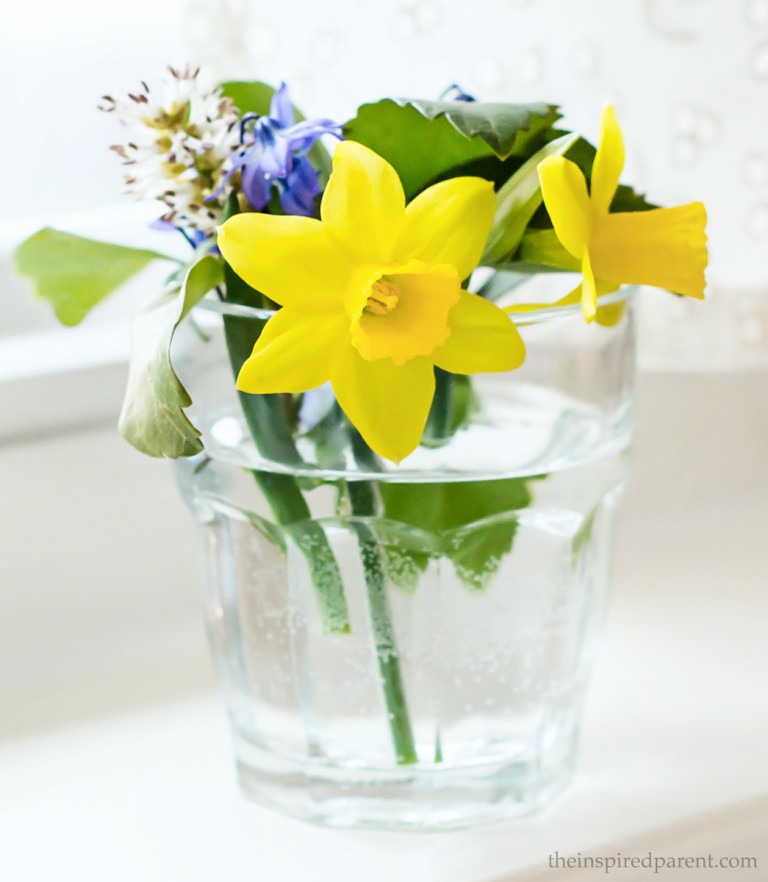 Our daughter found a few daffodils in our yard and liked that our Pachysandra ground cover is blooming. She picked these for me and they are a lovely combination!