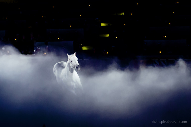 Medieval Times | theinspiredparent.com