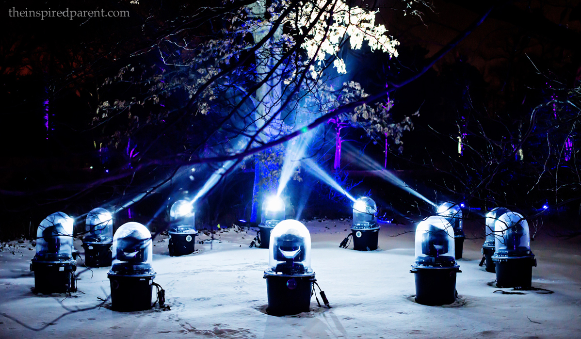 Illuminations at The Morton Arboretum