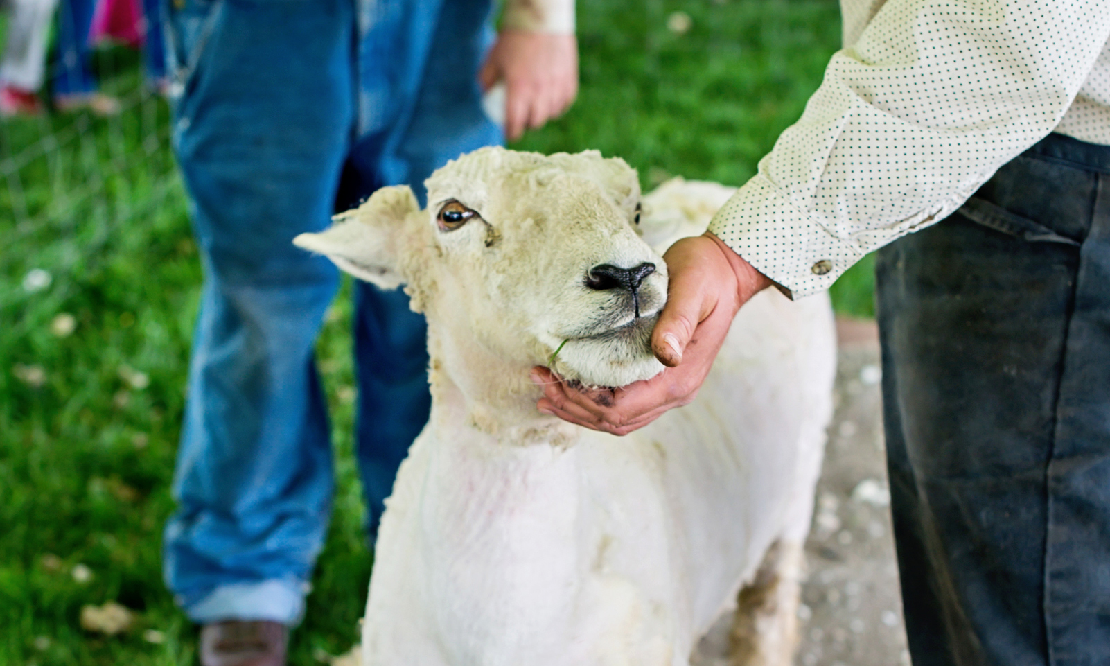 Step Back in Time at Kline Creek Farm